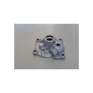 Cover, shift arm BYD F0