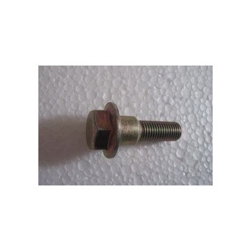 Bolt BYD F0