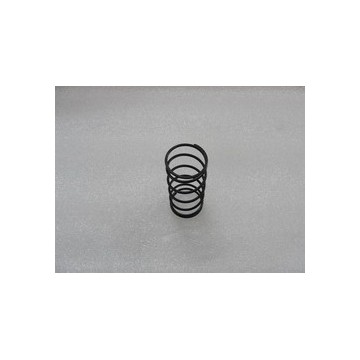 Shift spring BYD F0