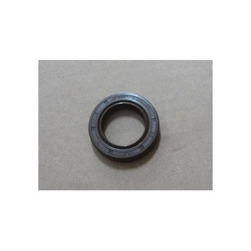 Oil seal, main shaft BYD F0