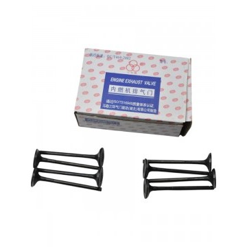 Клапан впускной (комплект) Lifan X60