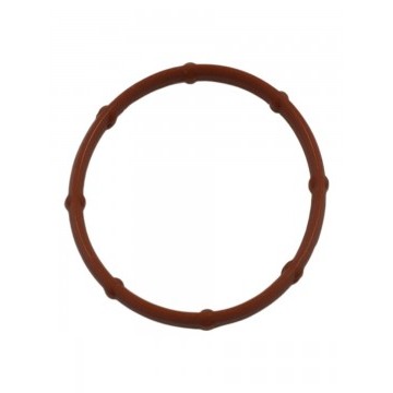 Прокладка впускного коллектора H9 Дизель