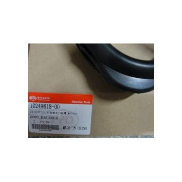 Groove,rear door,l BYD F0
