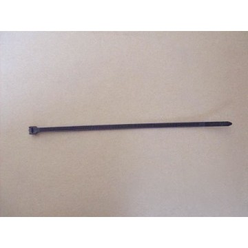 Plastic band Great Wall Cowry