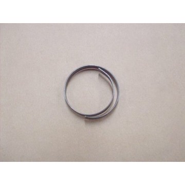 Snap ring Great Wall Cowry
