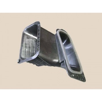 Core sponge Great Wall Cowry