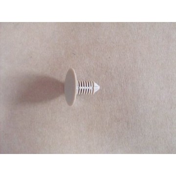 Nylon nasp(fr heat insulator) Great Wall Cowry