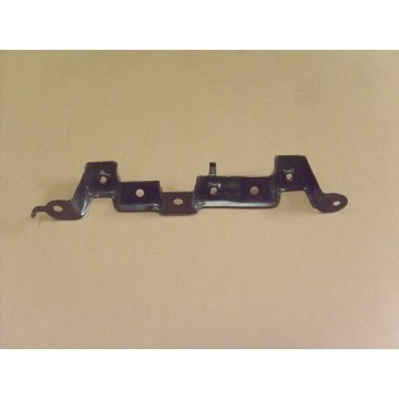 Bracket-hand middle Great Wall Cowry