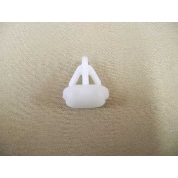 Clip-triangular glass Great Wall Cowry