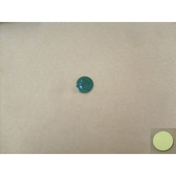 Rub washer Great Wall Cowry