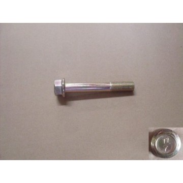 Flange bolt(m10ўб65) Great Wall Cowry