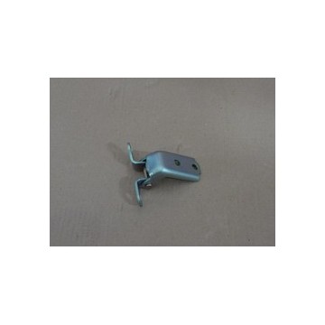 Lower hinge assy.,rear door,r BYD F0