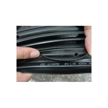 Weatherstrip,front door frame ,r BYD F0