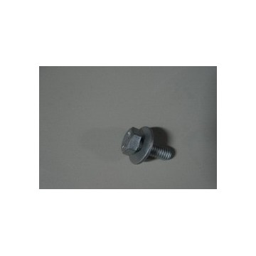 Hex-bolt&flat washer comp. BYD F0