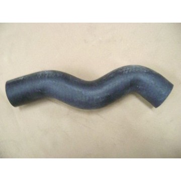 Radiator lwr hose(dr 4l68 economic) Great Wall Deer