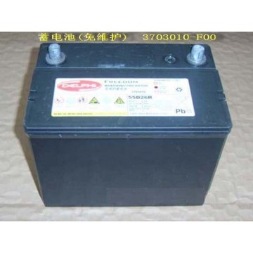 Batt assy(maintenance-free) Great Wall Deer