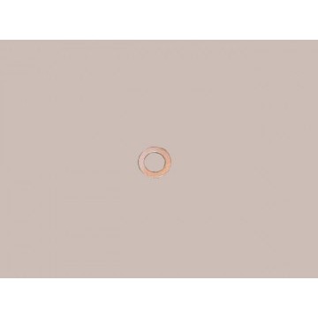 Copper washer(fr brake) Great Wall Florid