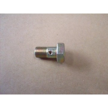 Eye bolt-fr caliper Great Wall Florid