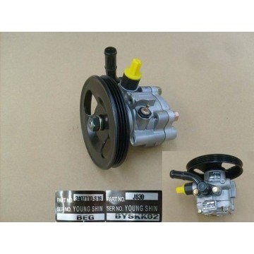 P/s pump assy Great Wall Florid