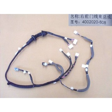Harn assy-fr door rh Great Wall Florid