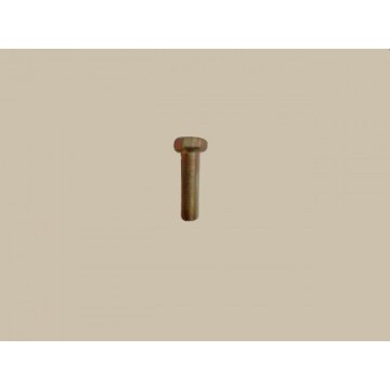 Bolt(m8ўб30) Great Wall Florid
