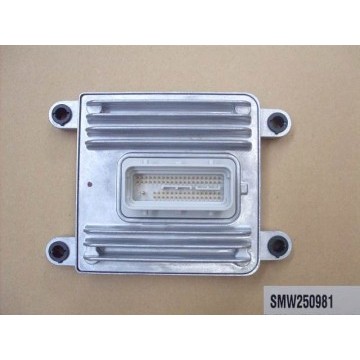 Injection ecu Great Wall Hover
