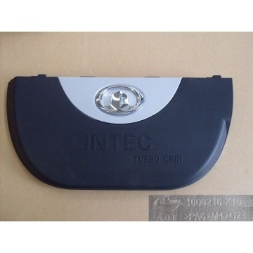 Fr section assy-intercooler trim cover Great Wall Hover