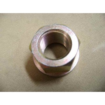 Nut(lwr swing arm rr shaft) Great Wall Hover