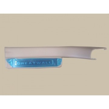 Rr doorsill assy lh(light gray) Great Wall Hover