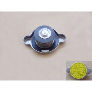 Radiator cover(shuanghua) Great Wall Hover H3