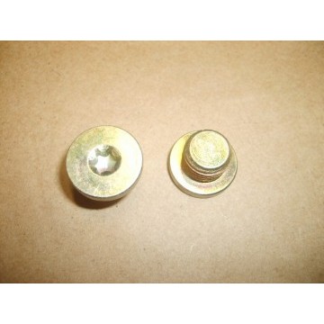 Screw plug-locating sprg Great Wall Hover H5