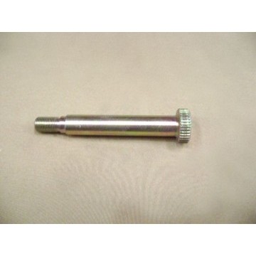 Lwr swing arm shaft(04) Great Wall Pegasus