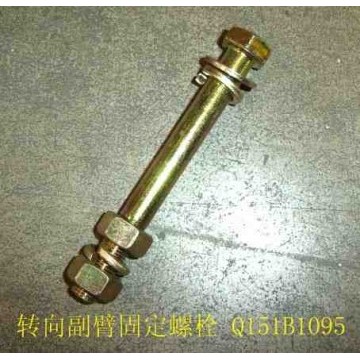 Hex bolt(strg arm) Great Wall Pegasus