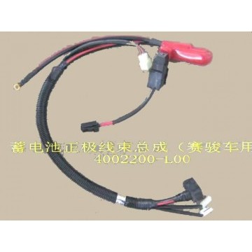 Batt anode harn assy Great Wall Pegasus