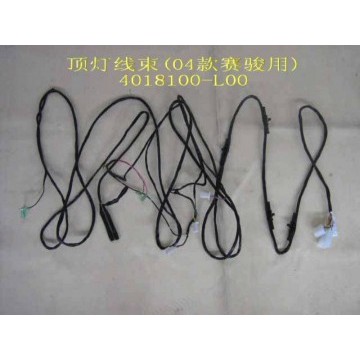 Harn assy-ceiling lamp(04) Great Wall Pegasus