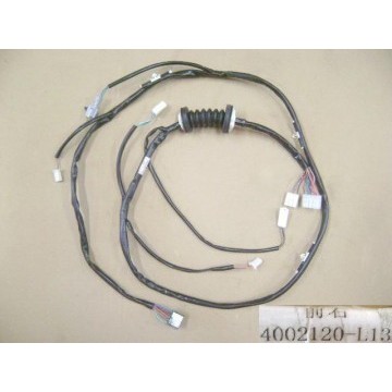 Harn assy-fr door rh Great Wall Pegasus