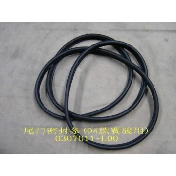 Seal strip-tail door(04) Great Wall Pegasus