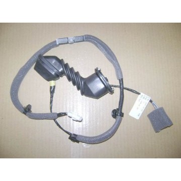 Harn assy-rr door lh Great Wall Peri