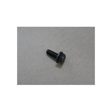 Bolt_black zinc BYD F0