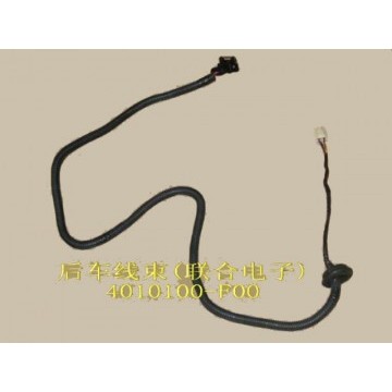 Harn assy-frame(ue) Great Wall Safe