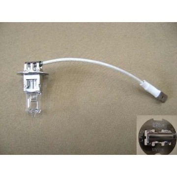 Bulb philips(03 fr fog lamp 12336) Great Wall Safe