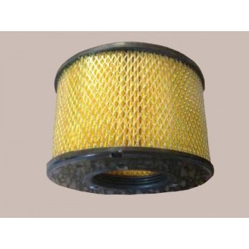 Filter element assy-air cleaner Great Wall Sailor