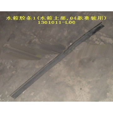 Radiator rub strip(upr 04) Great Wall Sailor