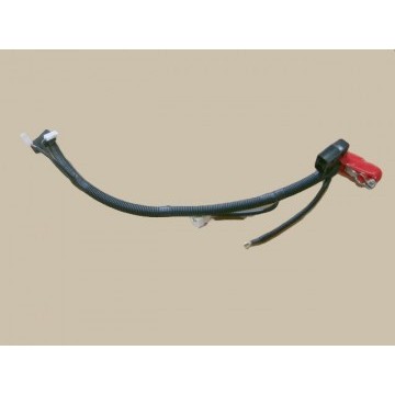 Batt anode harn assy Great Wall Sailor