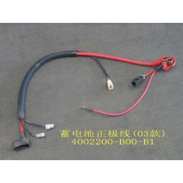 Batt anode harn assy(03) Great Wall Sailor