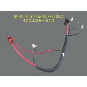 Batt anode harn assy(01) Great Wall Sailor
