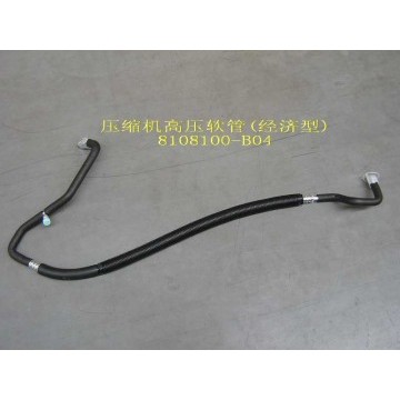 High pressure pipe assy(economic) Great Wall Sailor