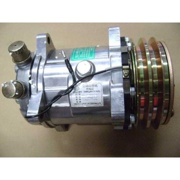 Refrigeration compressor assy Great Wall Sailor