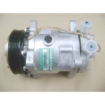 Refrigeration compressor assy Great Wall Sailor