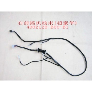 Harn assy-fr door rh(super lux) Great Wall Sailor